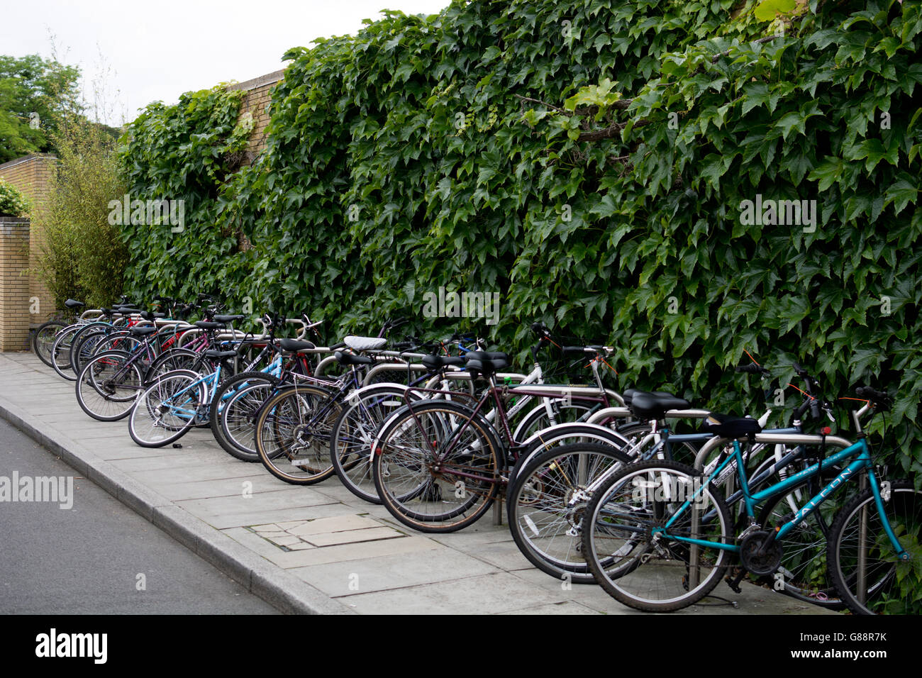 Bicycles parked at St. Catherine`s College, Oxford, UK Stock Photo